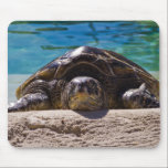 Sleepy Turtle Mouse Pad