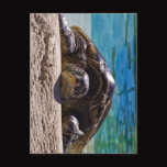Sleepy Turtle Postcards