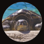 Sleepy Turtle Round Sticker