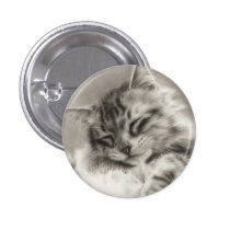 Sleepyhead Main Coon Cat Button buttons