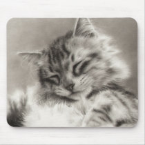 Sleepyhead Maine Coon Mousepad mousepads
