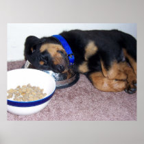 sleepyhead rottweiler. print