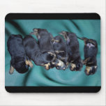 sleepyhead rottweiler puppies mousepads