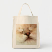 Sleepykitty bags