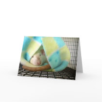 Sleepytime cards by ratsrule Sleepytime cards