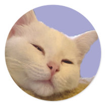 Sleepytime stickers