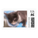 Sleepytime with Blue Kitty Christmas Stocking postage by Jakestuff Sleepytime with Blue Kitty Christmas Stocking postage