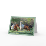 Sleigh Belle Christmas Card cards