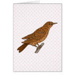 Slentia Sparrow Cards