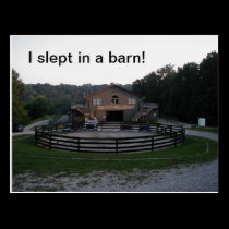 Slept in a barn postcard postcards