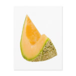 Slice of Austrailian rockmelon Postcard