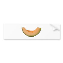 Slice of rockmelon bumper stickers