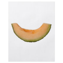 Slice of rockmelon custom flyer