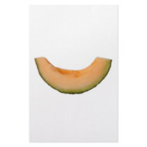 Slice of rockmelon customized stationery