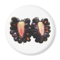 Sliced Blackberry ~ magnet