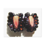 Sliced Blackberry ~ postcard