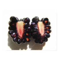 Sliced Blackberry ~ print by Andy2302 Sliced Blackberry ~ print