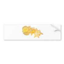 Sliced carambola bumper stickers