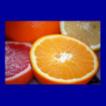 SLICED CITRUS FRUITS ORANGES COLORFUL HEALTHY FOOD posters