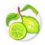 Sliced Lime Refrigerator Magnet