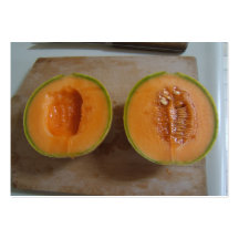 Sliced Melon ~ ATC Business Cards