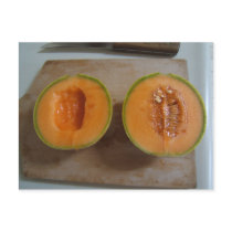 Sliced Melon ~ postcard