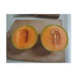Sliced Melon ~ postcard