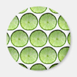 Slices of lemon lime orange citrus fruit magnets