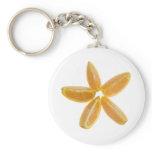 Slices of orange key chain