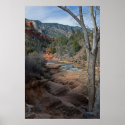 Slide Rock in Sedona, AZ 3565 posters