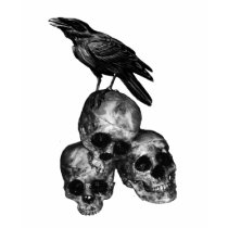 Slim Pickings Crow And Skulls t-shirts
