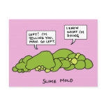 Slime Mold Postcard