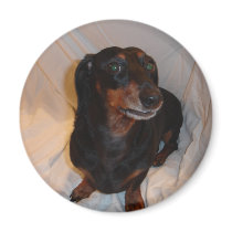 slinky 006 dachshund magnet