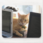 Slinky Cat Behind the Technology Mousepad