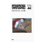 Slinky Cat Merry Chrismouse postage