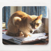 Slinky Cat Paperweight Mousepad
