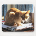 Slinky Cat Paperweight Mousepad