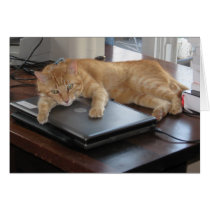 Slinky Cat PC Hug Card
