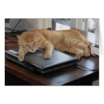Slinky Cat PC Hug Card