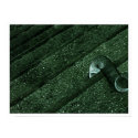 slinkyfix posters by blacqbook slinkyfix posters