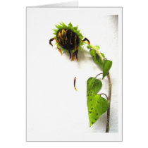 Slip Away cards