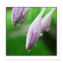 slip sliding away posters by Kellyap slip sliding away posters