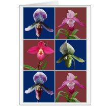 Slipper orchids card, navy & cranberry background