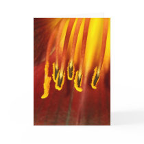slippers cards by a_vos_souhaits slippers cards