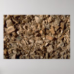 Slippery elm bark poster