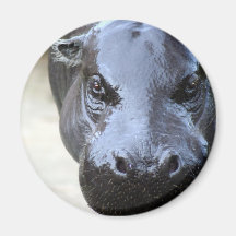 Slippery When Wet Fridge Magnet