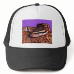 Slithery Mesh Hats