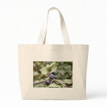 Sloe Berries bags