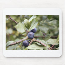 Sloe Berries mousepads