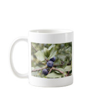 Sloe Berries mugs
